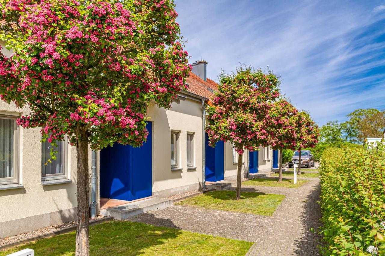 Apartment Biber Mit Terrasse Dewichow Buitenkant foto